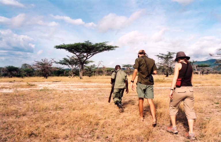 12 Days Kenya and Tanzania Safari package