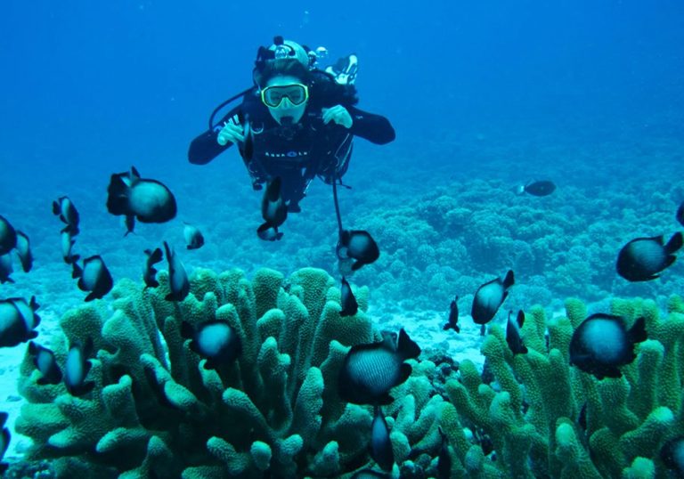 Diving-and-Snorkeling Nature Destinations Tours & Safaris